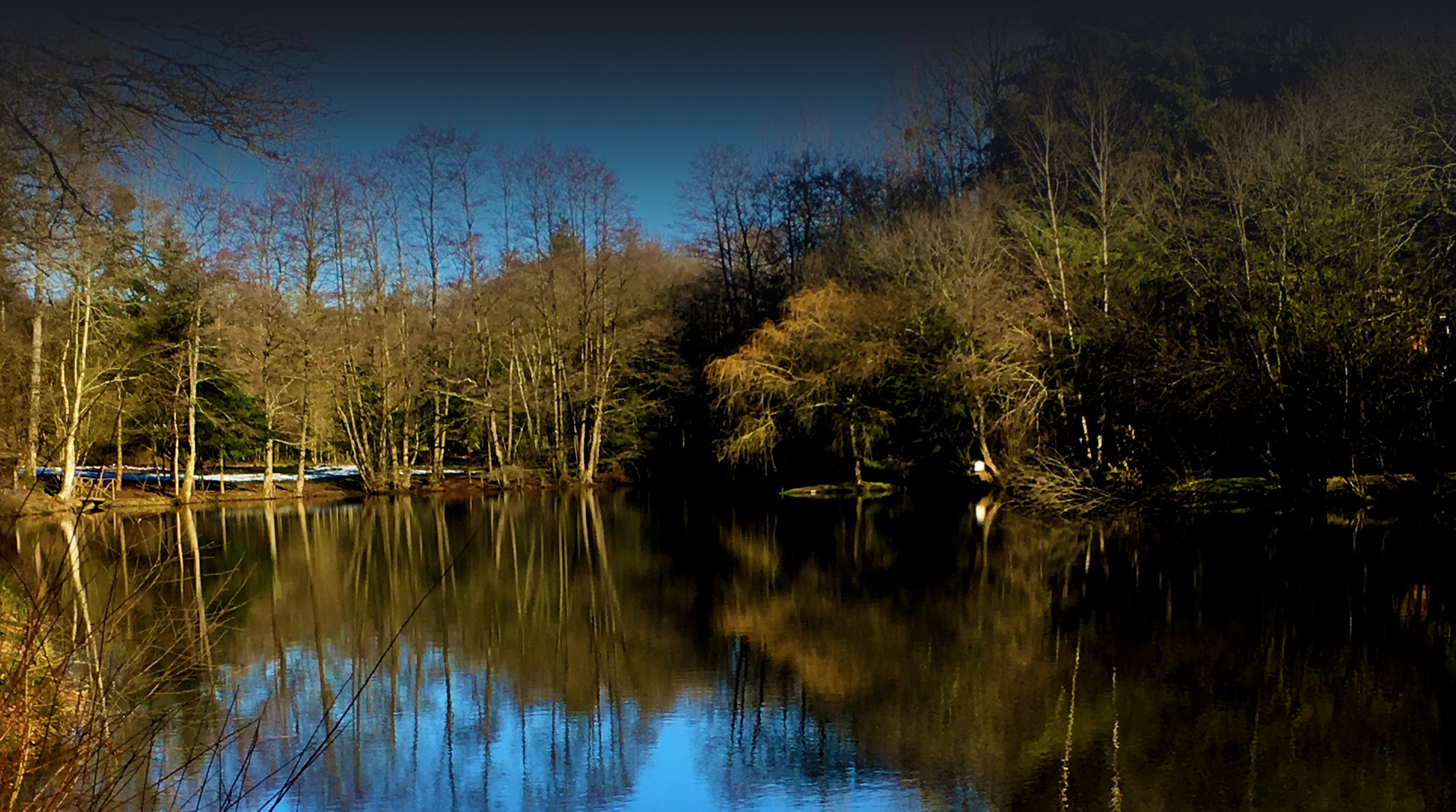 Hideaway Lake<strong><br>Carp Fishing in</strong><br /> Lower Normandy